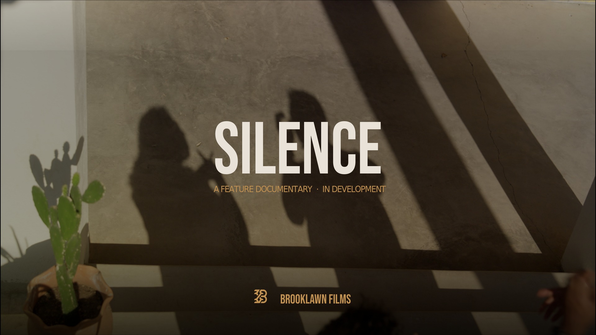 Silence — a feature documentary in development from Brooklawn Films